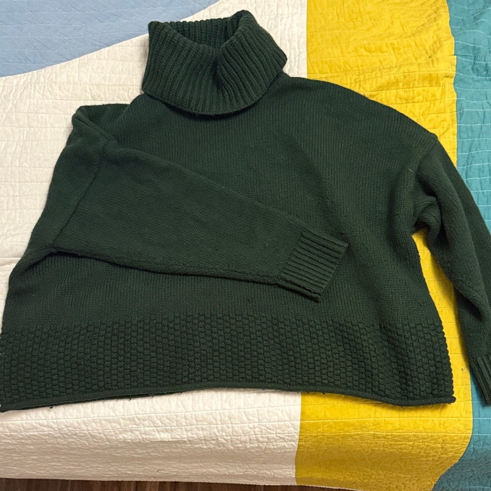 Madewell Forest Green Turtleneck Sweater